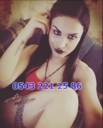 selin17